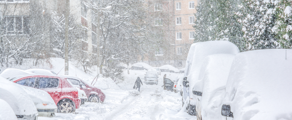 Cars & Trees in Winter Storm