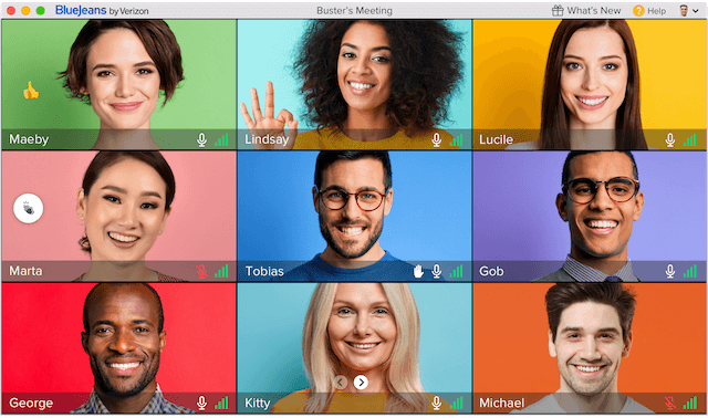 BlueJeans Meetings+ Features